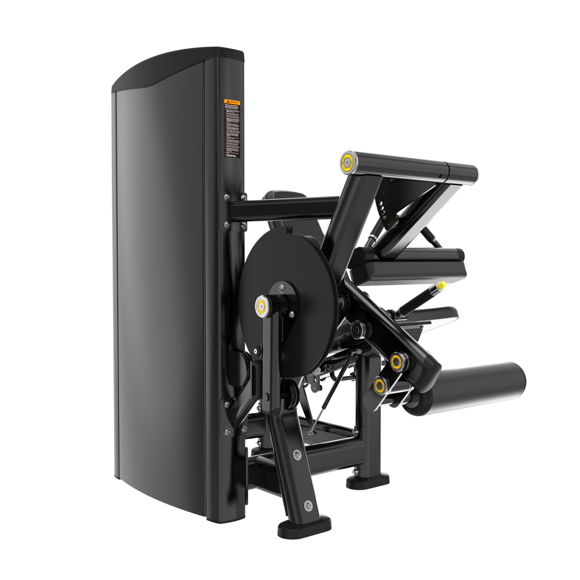 Leg Extension Leg Curl Back