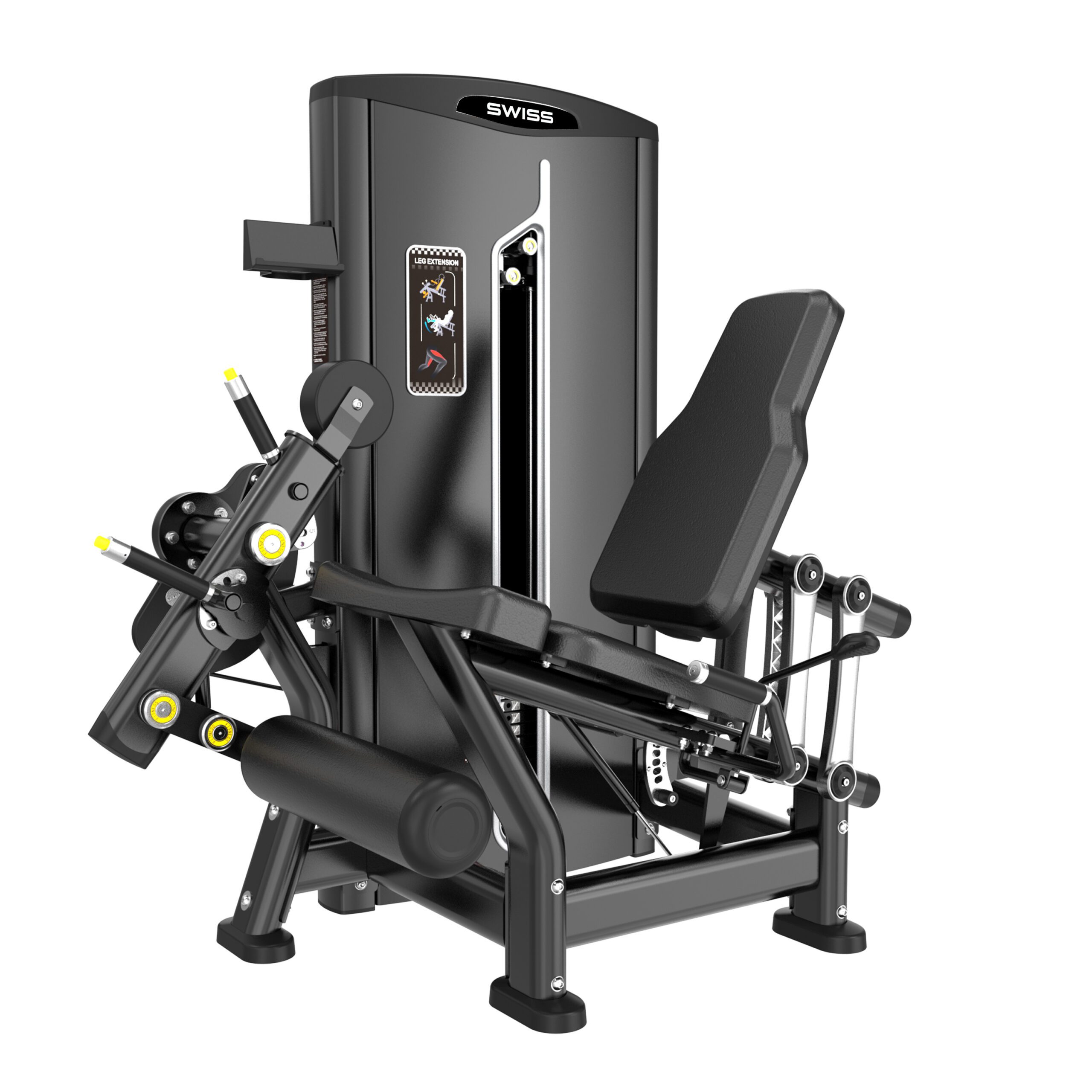Swiss Leg Extension