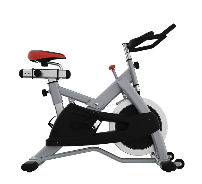 Swiss Spin Bike X2